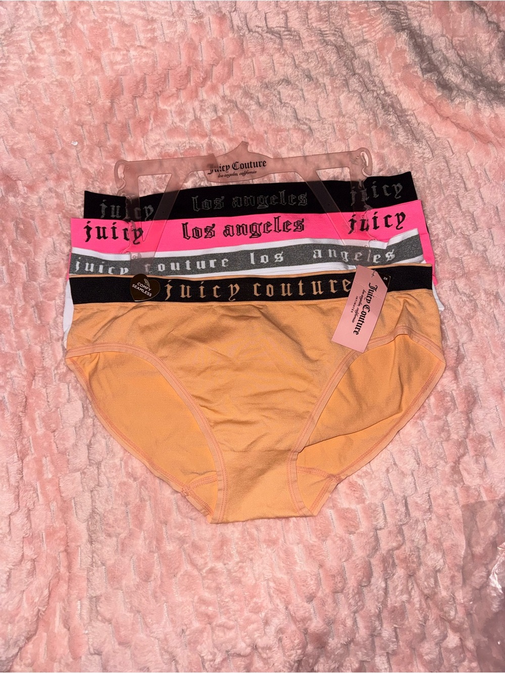 Juicy Couture pack of 4 bikini style panties - 2X - NWT!